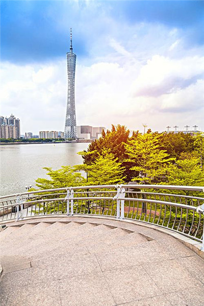 深圳观澜提供全套服务的相关信息 深圳观澜提供全套服务的相关信息